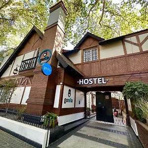 book here